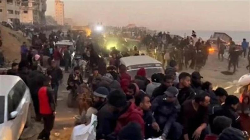 بوابة روز اليوسف