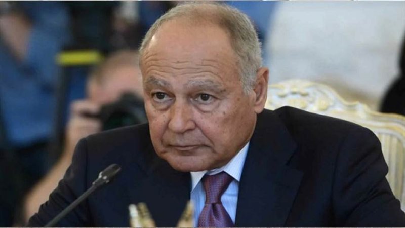 أحمد أبو الغيط أمين