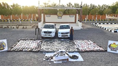 حرس الحدود تحبط محاولة لتهريب كميات كبيرة من المواد المخدرة في جنوب مصر 