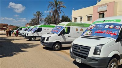 الكشف على 872 مواطنا وتقديم خدمات التققيف الصحي بقرية السلام بالبحيرة 