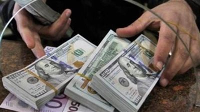 غنيم: تحرير الصرف قرار جاء في وقته ونتطلع لحوافز لجذب تحويلات المصريين