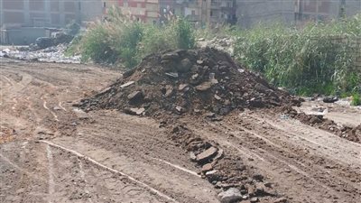 محافظ الإسكندرية: البدء في تنفيذ الخطة الاستثمارية للرصف لهذا العام بـ10شوارع