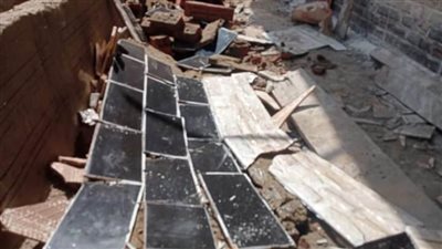 إزالة 28 حالة تعدٍ على الأراضي الزراعية وأملاك الدولة بالبحيرة