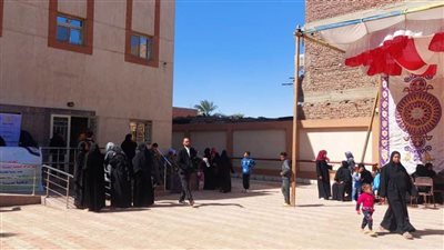 محافظ أسوان يتابع أعمال القافلة الطبية للجنة الطبية العليا والاستغاثات بمجلس الوزراء بدراو 