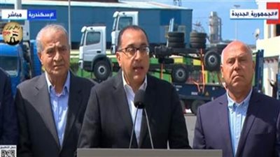 مدبولي: الإفراج عن كميات هائلة من السلع الأساسية بميناء الإسكندرية و3 موانئ أخرى