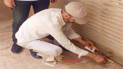 تحرير 176 مخالفة للمحلات التي لم تلتزم بقرار مجلس الوزراء بالغلق لترشيد الكهرباء