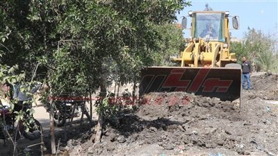 الموجة 22 تنفذ 17 قرار إزالة على أملاك الدولة بمساحة 6 قراريط بسيدي سالم