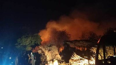 مصرع وإصابة 3 أشخاص ونفوق 12 رأس ماشية في حريق ببني سويف