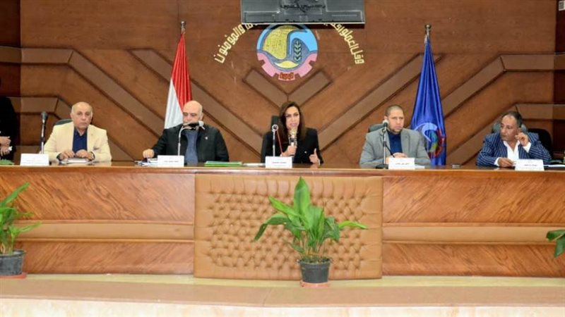 عرض الإستراتيجية