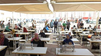 مشاريع تنموية ورؤوس ماشية لـ