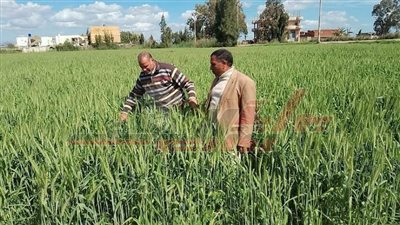 تنظيم ندوة إرشادية توعوية عن العمليات الزراعية بمركزي بلطيم وسيدي سالم