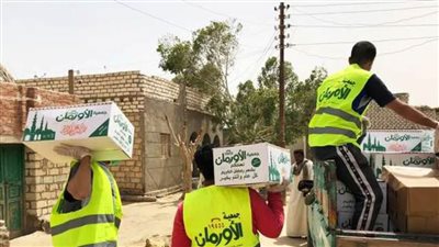 الأورمان والتضامن بأسوان يوزعان 1100 كرتونة مواد غذائية بمركز كوم أمبو 