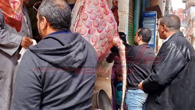 تحرير 15 محضرًا تموينيًا لأصحاب المحال التجارية والمخابز بقلين