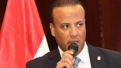 العربي الناصري: قوافل مساعدات التحالف الوطني لغزة استمرارًا للملاحة المصرية لدعم القضية