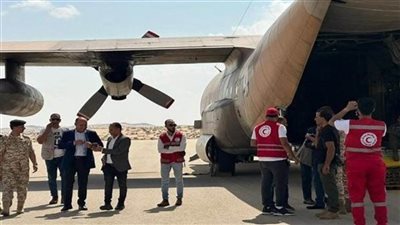 مطار العريش الدولي يستقبل طائرتي مساعدات إماراتيتين لصالح قطاع غزة