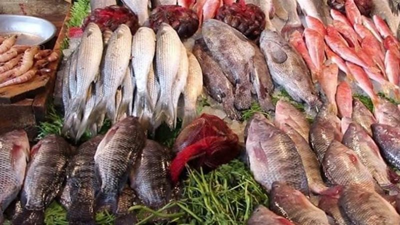 أسعار السمك - أرشيفية