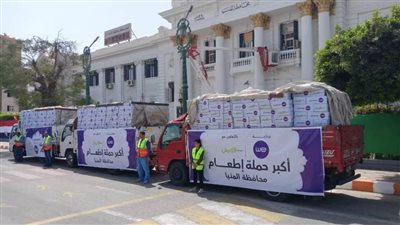 محافظ المنيا: الدولة تسعى للتوسع فى برامج الحماية الاجتماعية والتكاتف مع مؤسسات المجتمع المدنى