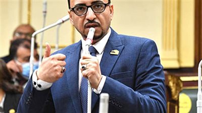 برلماني: زيارة الوفد الأوروبي لمصر تمثل ترجمة واقعية للانطلاقة القوية بين الجانبين