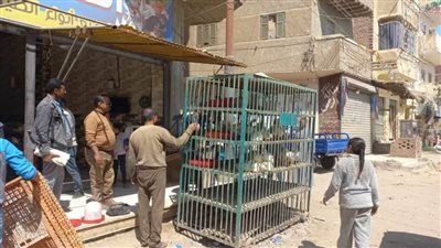 حملات مكثفة لرفع الإشغالات والإعلانات غير المرخصة بالمنيا