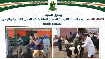 الثلاثاء المقبل.. بدء الحملة القومية لتحصين الماشية ضد الحمى القلاعية والوادي المتصدع بالمنيا