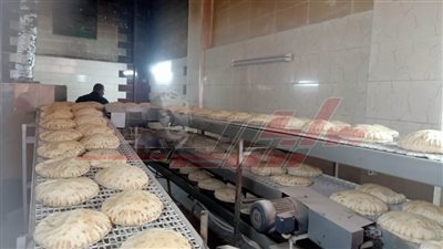 تحرير 13 محضرًا متنوعًا بالحملات التموينية بمركزي مطوبس وبلطيم