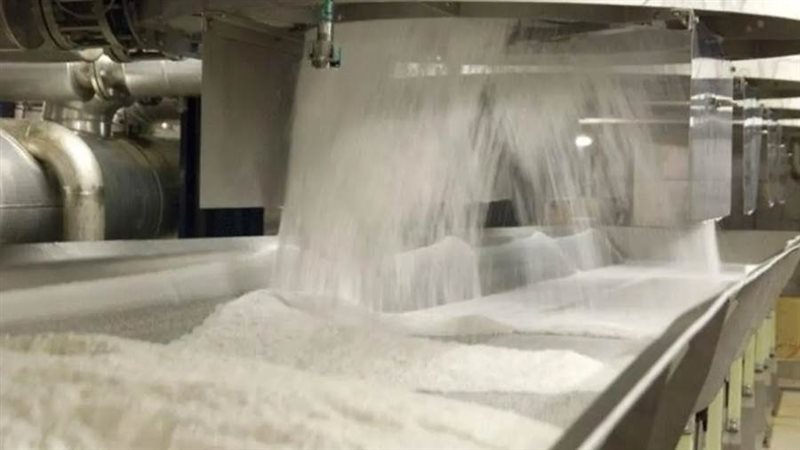 سكر القصب - ارشيفية