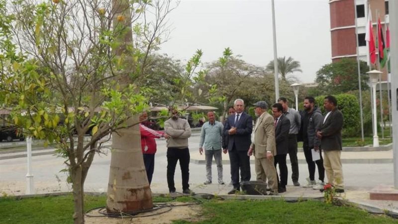 رئيس جامعة المنيا