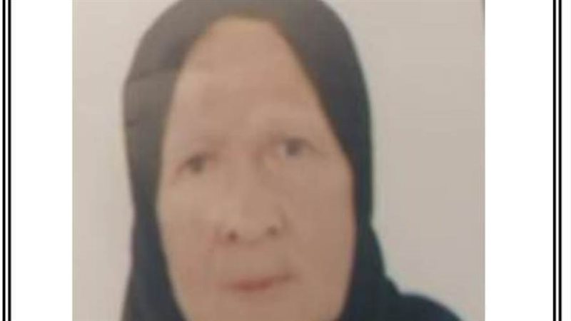 الأم المثالية