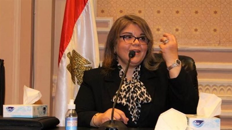 النائبة فيبي فوزي