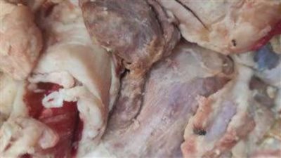 ضبط طن و228 كيلو لحوم ودواجن وأسماك غير صالحة للاستهلاك الآدمي بالشرقية 