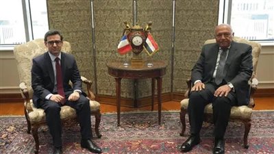 وزير الخارجية يبحث مع نظيره الفرنسي مستجدات أزمة غزة