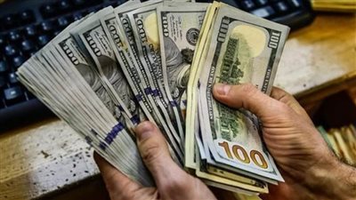 شركتا الأهلي ومصر للصرافة تجذبان حصيلة تبلغ 5ر4 مليار جنيه منذ تحرير سعر الصرف