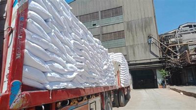 محافظ المنيا يتابع أعمال توريد محصول البنجر بمصانع السكر بأبوقرقاص لعام ٢٠٢٣-٢٠٢٤