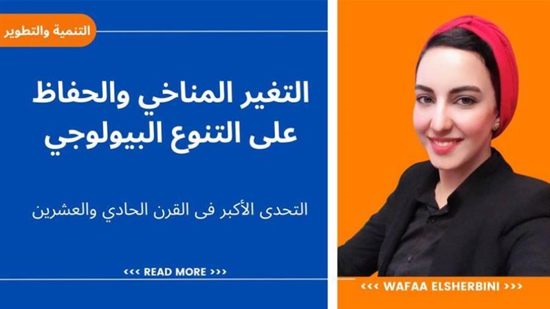 وفاء سعد الشربيني