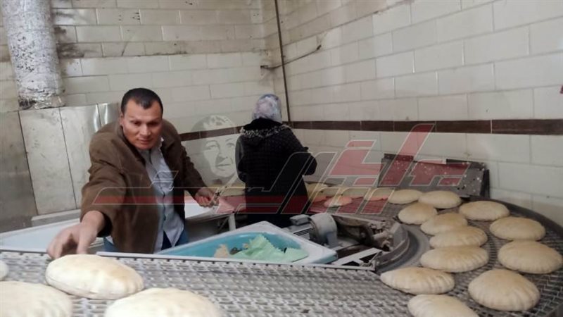 الحملات الرقابية