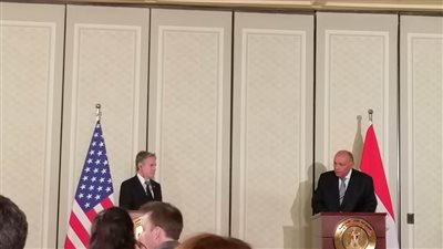 وزير الخارجية: هناك 