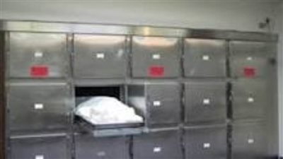 شاب يقتل والدته ويصيب شقيقته في الشرقية 