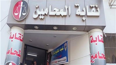 9865 محاميًا يدلون بأصواتهم في 15 لجنة انتخابية لاختيار النقيب وأعضاء المجلس بالمنيا