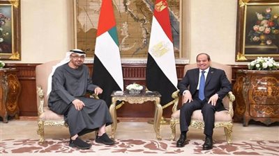 عاجل.. مصر والإمارات تشدّدان على ضرورة تفعيل حل الدولتين