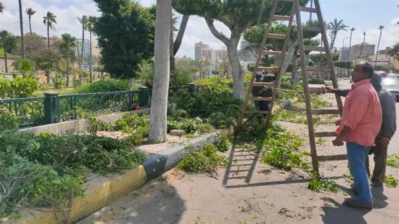 رفع كفاءة حديقة الشلالات