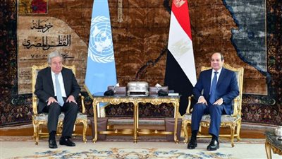 عاجل.. الرئيس السيسي يستعرض مع أمين عام  الأمم المتحدة جهود وقف إطلاق النار في غزة