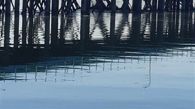 غطاسي مياه الشرب بسوهاج يطهرون جميع مآخذ المحطات السطحية