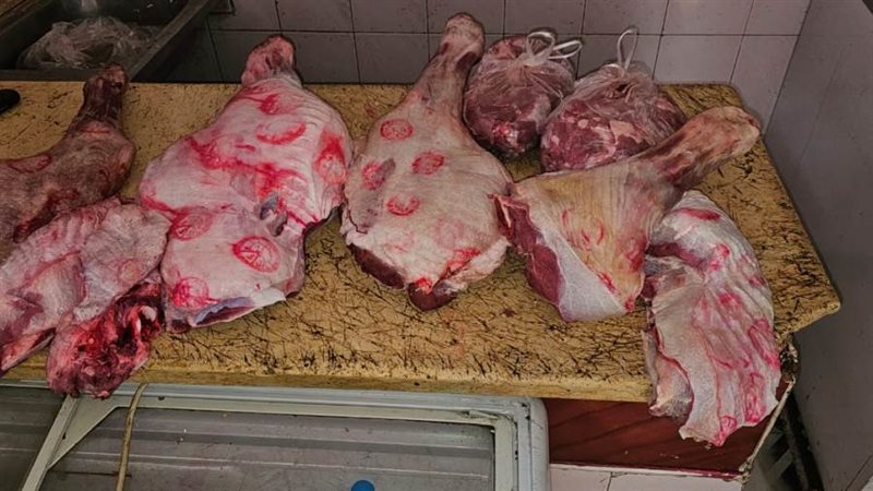 تحرير ٣٣ محضر متنوع