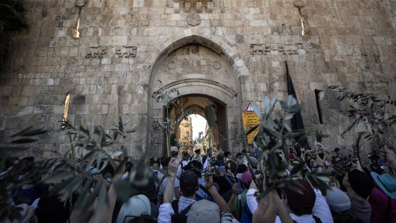 بوابة روز اليوسف