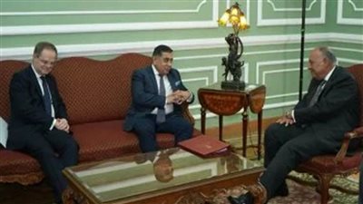 عاجل..شكري يؤكد أولوية الوقف الكامل لإطلاق النار في غزة حفاظاً على أرواح المدنيين