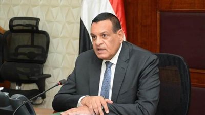 وزير التنمية المحلية يتابع مع محافظ بورسعيد عدداً من الملفات الخدمية 