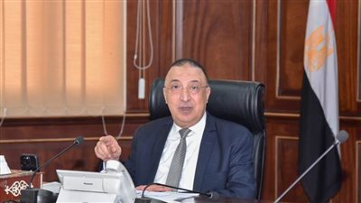 محافظ الإسكندرية يناقش الخطة الاستراتيجية للسكان والمسح الصحي للأسرة