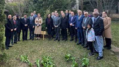 في يوم الأرض: شجرة فلسطين تغرس في كافة القارات