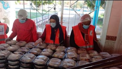 قومي المرأة بأسوان يواصل تنفيذ مبادرة 