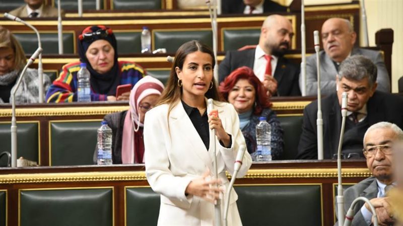 النائبة إيلاريا حارص